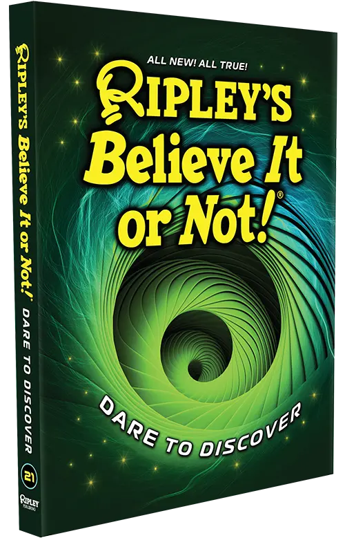 Dare to Discover book